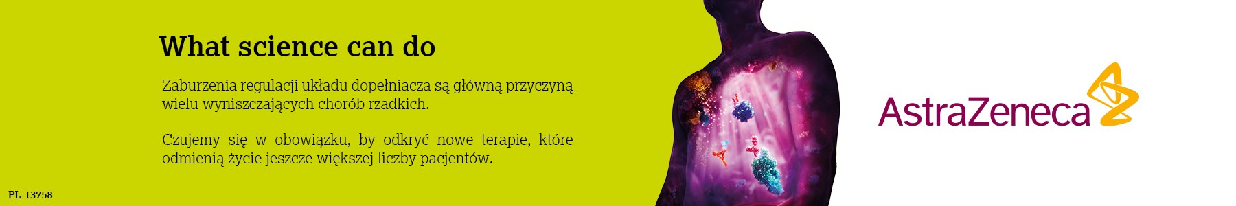 baner reklamowy